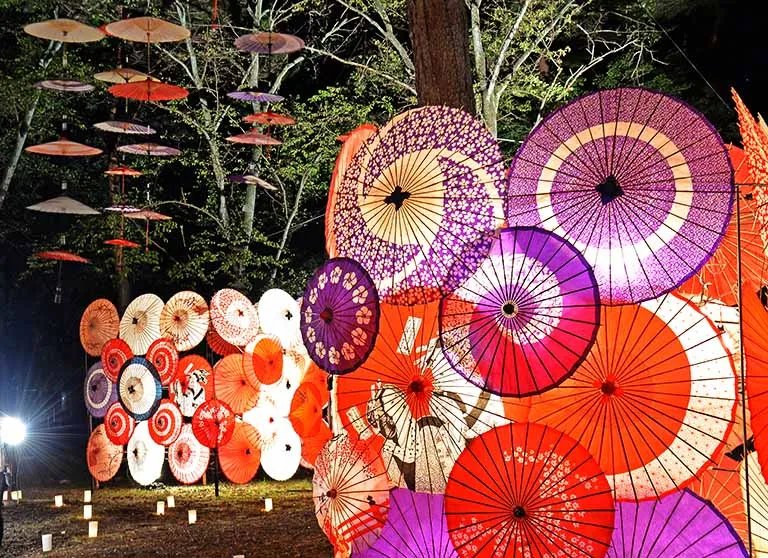 🏞️ 키누가와 공원 이미지 5